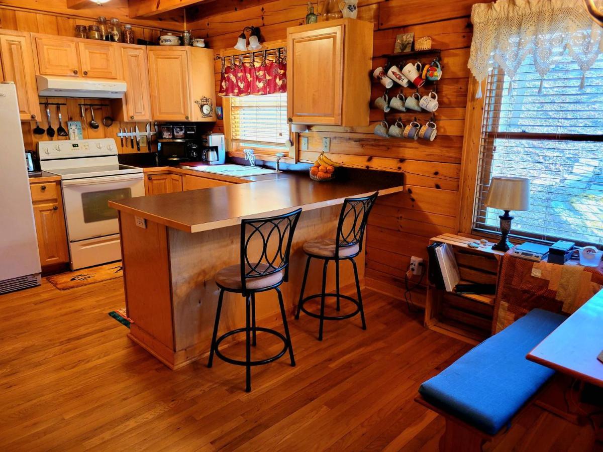 The Little Wolf Cabin Maggie Valley Exterior foto