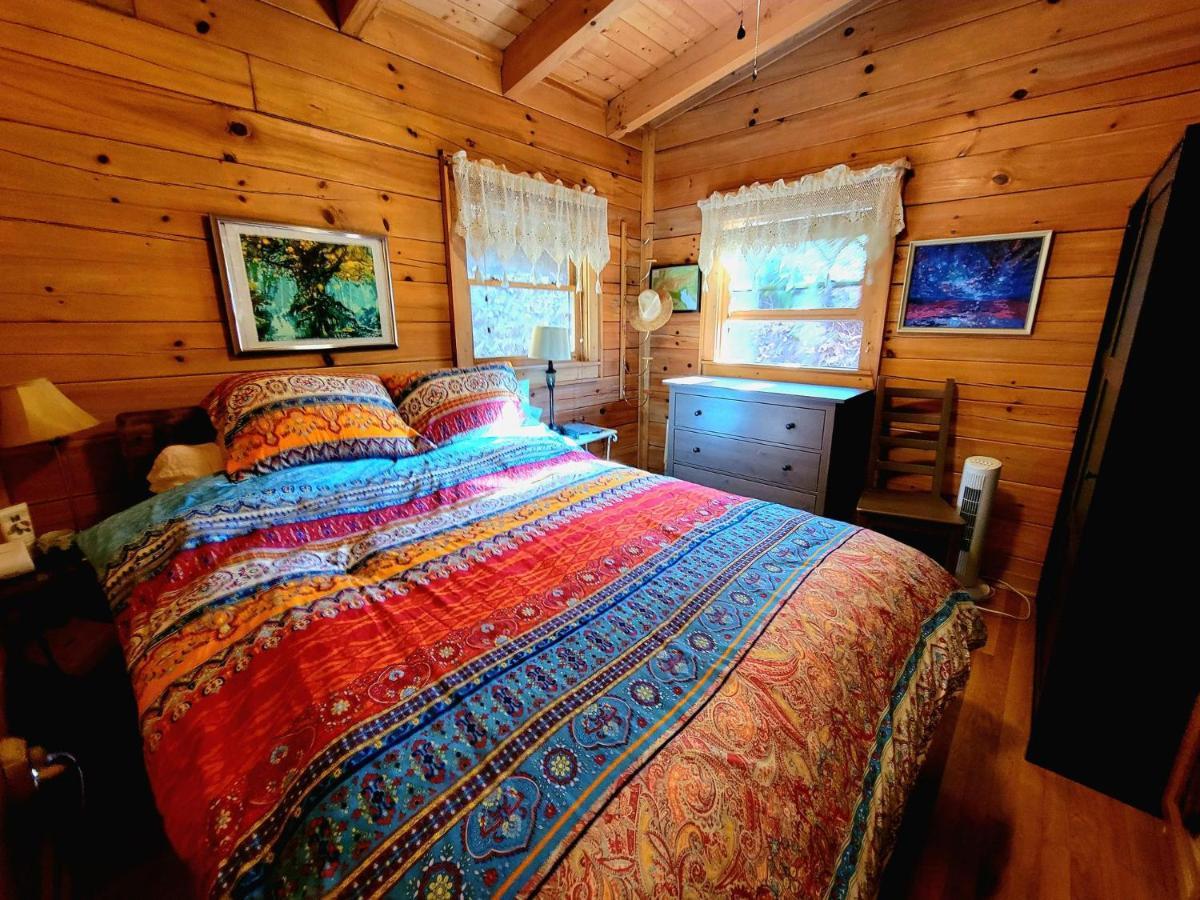 The Little Wolf Cabin Maggie Valley Exterior foto