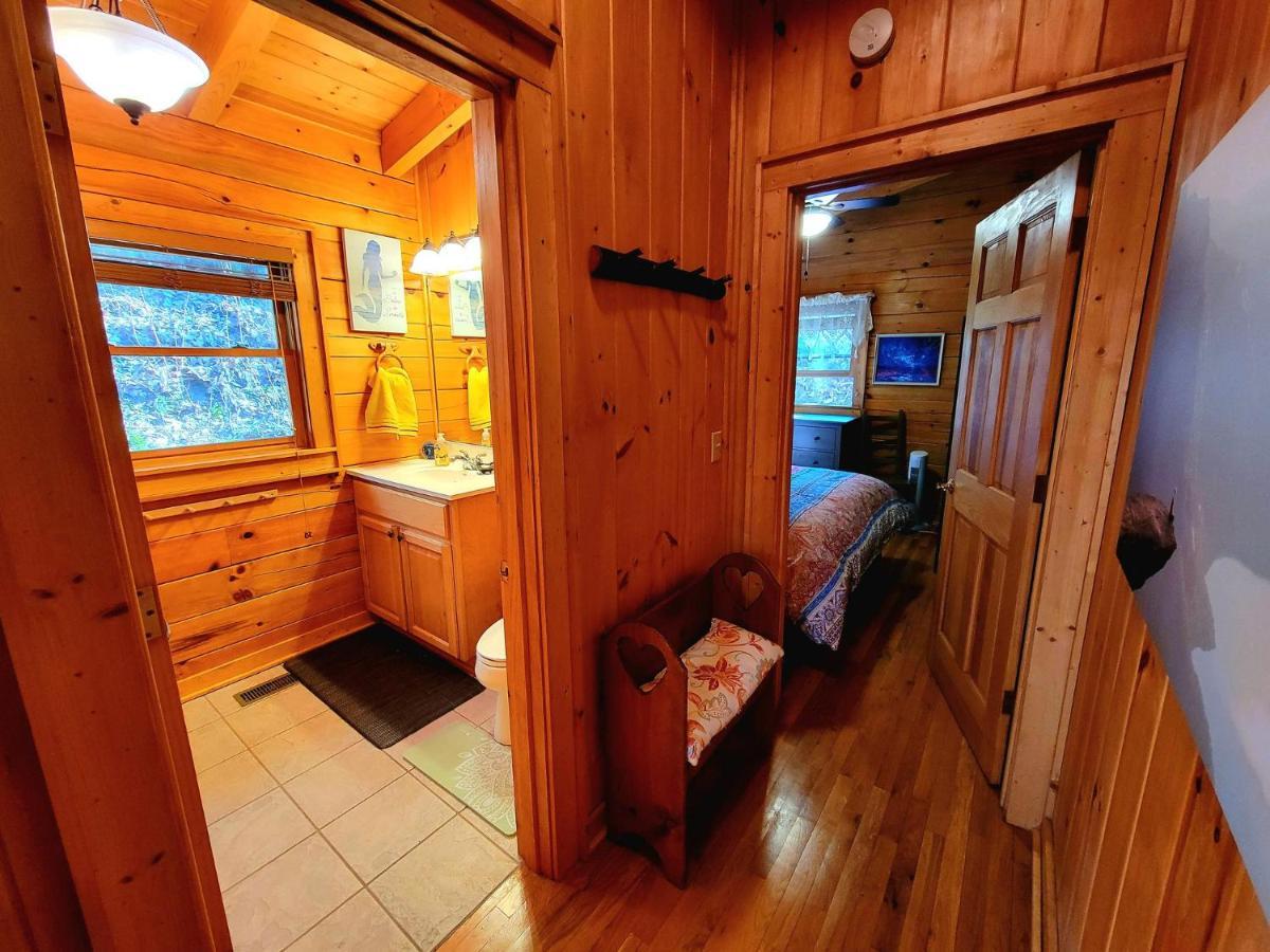 The Little Wolf Cabin Maggie Valley Exterior foto
