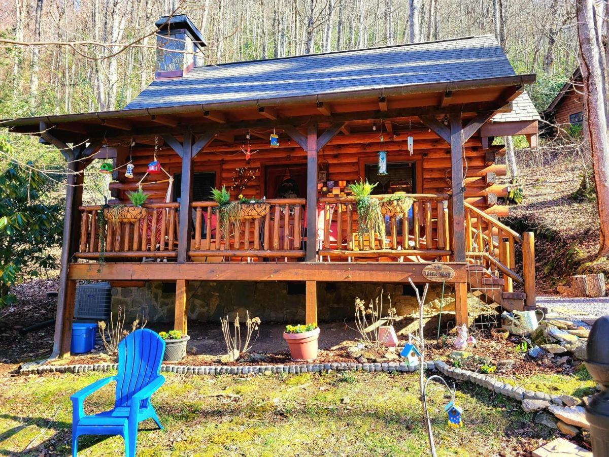 The Little Wolf Cabin Maggie Valley Exterior foto