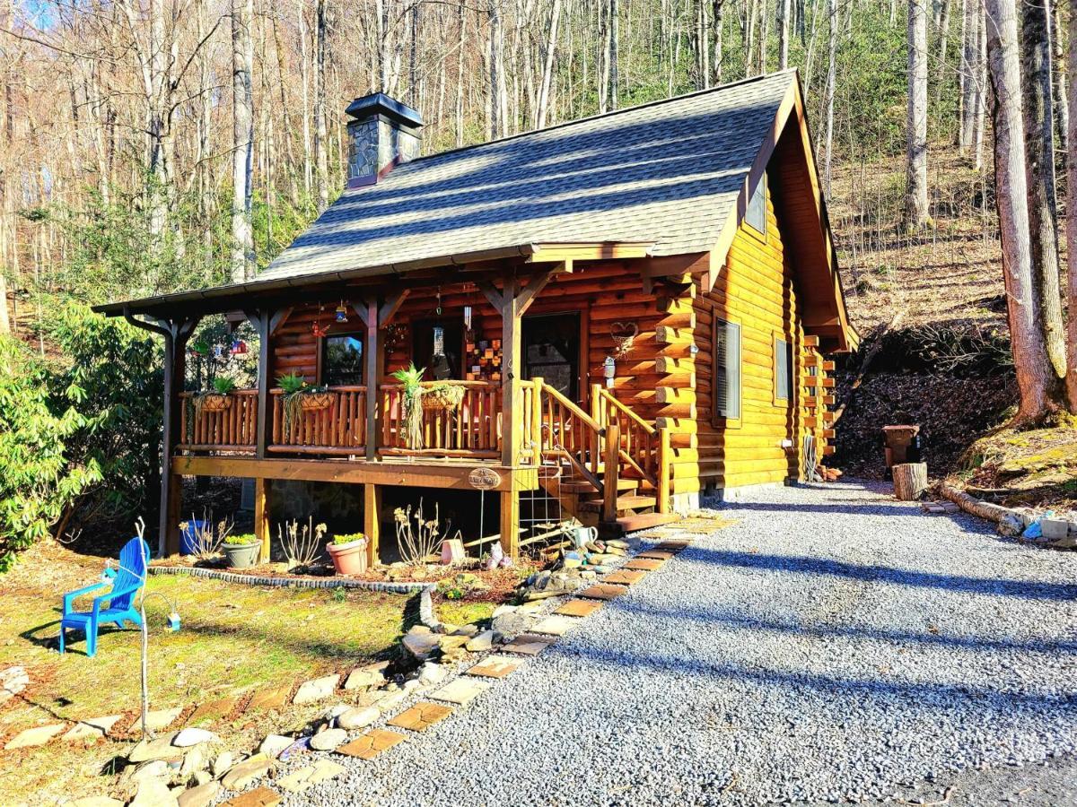 The Little Wolf Cabin Maggie Valley Exterior foto