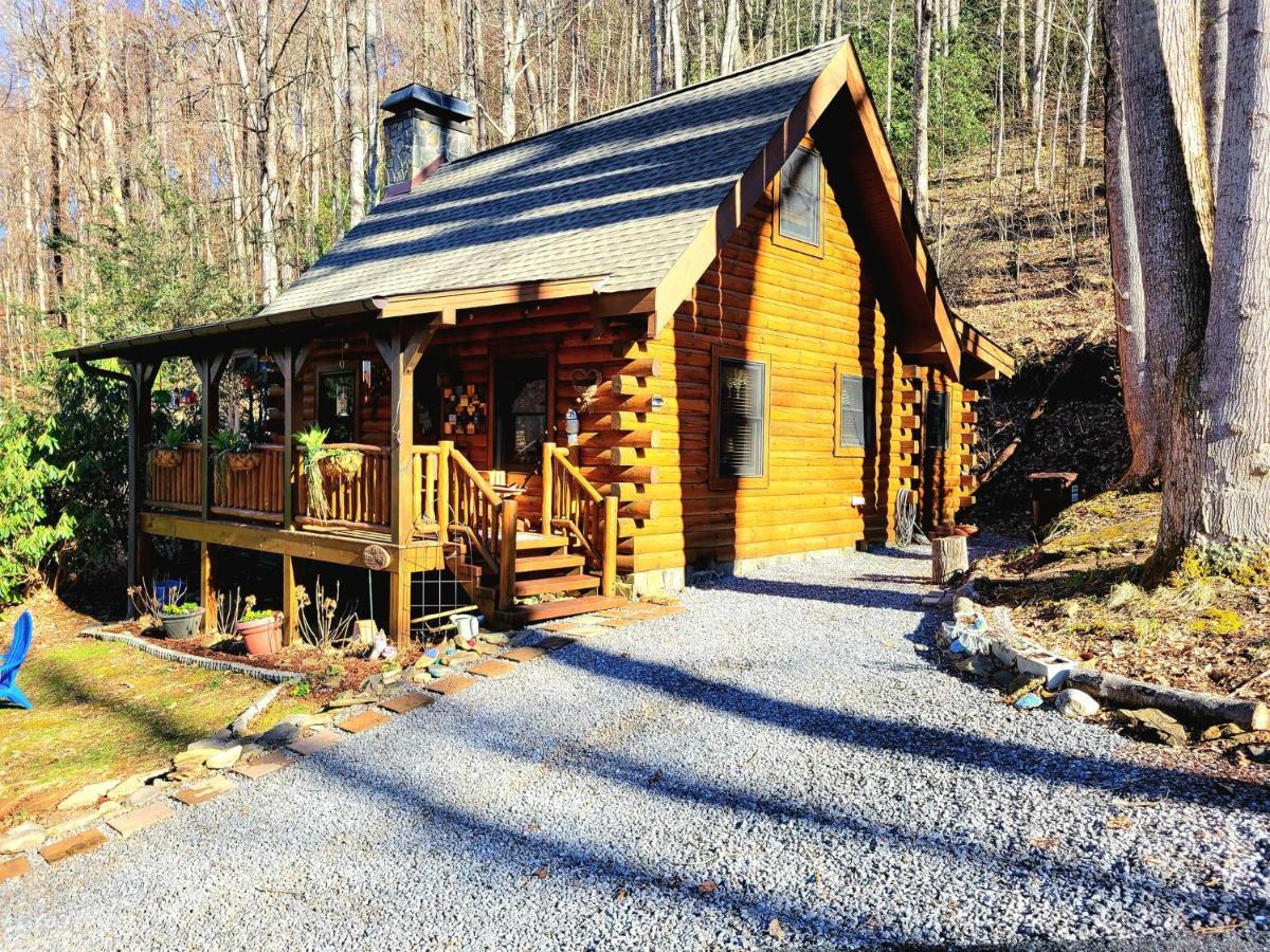 The Little Wolf Cabin Maggie Valley Exterior foto